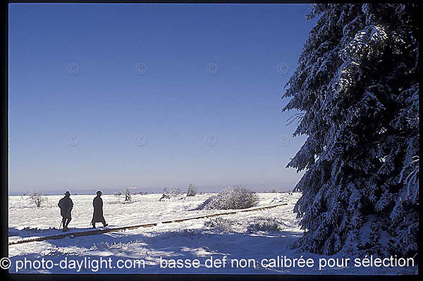 les Hautes Fagnes